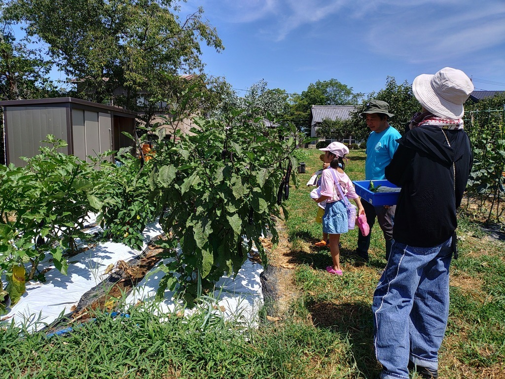 畑の秋野菜でピザ作り
